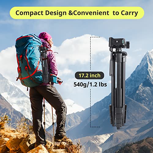 64" Camera Tripod Stand for iPhone & iPad