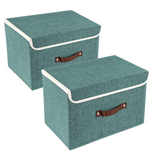 Collapsible Storage Boxes (2 Count)