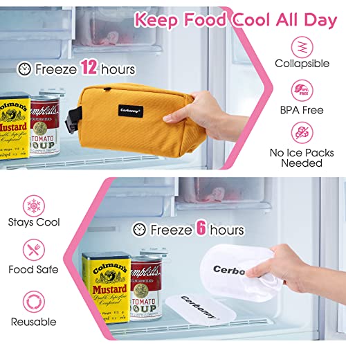 Freezable Lunch Bag