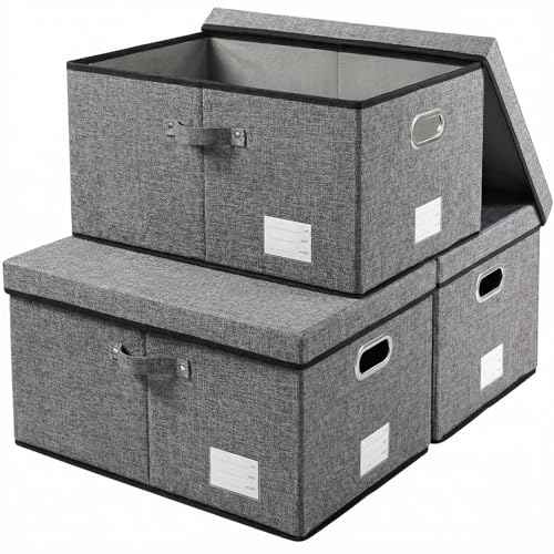 Storage Bins with Lids [3 (3 Count)