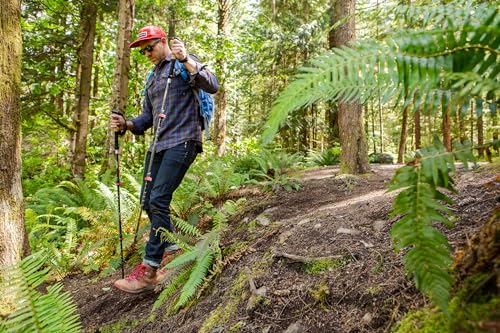 Trekking Poles