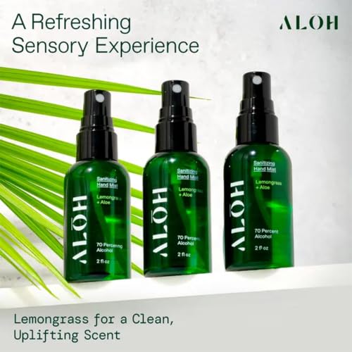 ALŌH Travel Size Hand Sanitizer Spray 3 (6 Fl Oz)