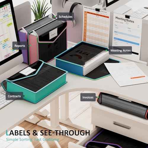 Plastic Expanding File Folder