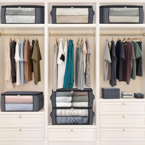 35L Closet Organizers (6 Count)