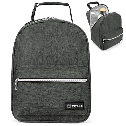 Insulated Lunch Box for Kids and Adults