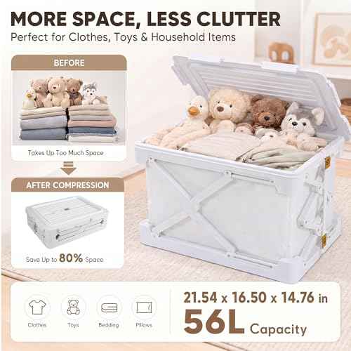 Storage Bags for Clothing (2 Count)