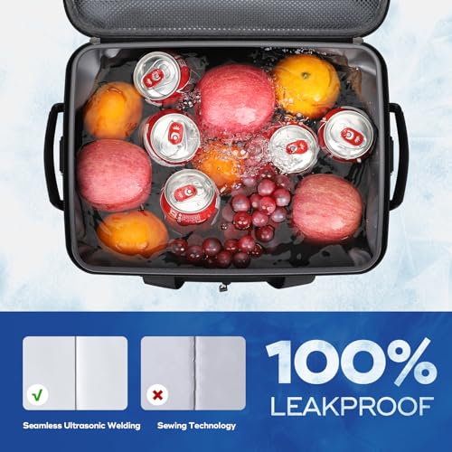 30Can Collapsible Soft Cooler Bag (30 Count)