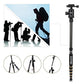 Z669C Carbon Fiber Portable Tripod with Ball Head Compact Travel for Canon (1496.8548 grams)