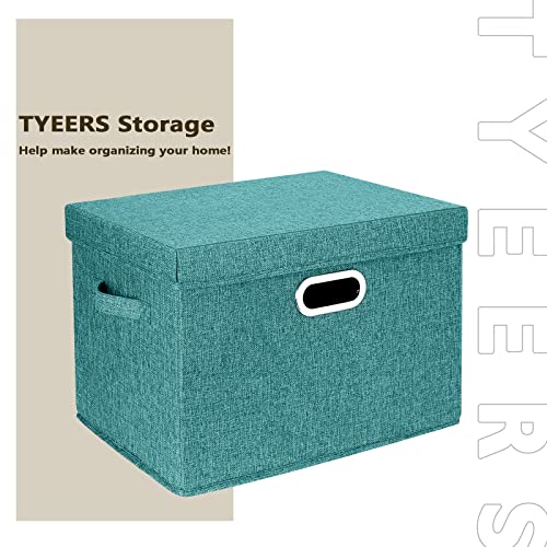Collapsible Storage Bins With Lids (2 Count)