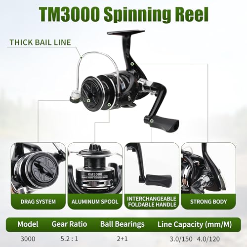 Fishing Rod Reel Combo (2 Count)
