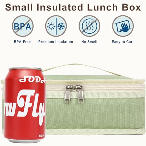 Small Insulated Lunch box Portable Soft Bag Mini Cooler Thermal Meal Tote Kit with Handle for Work & School