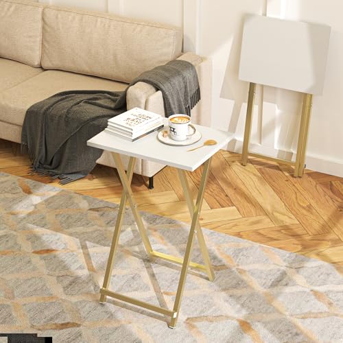 Foldable TV Trays (2 Count)