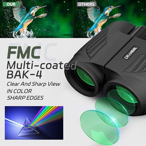 20X25 Small Binoculars for Adults and Kids