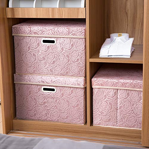 Large Foldable Storage Boxes with Lids [5 (5 Count)