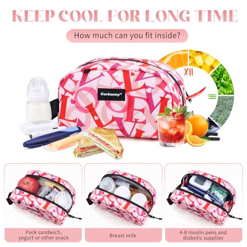 Small Cooler Bag