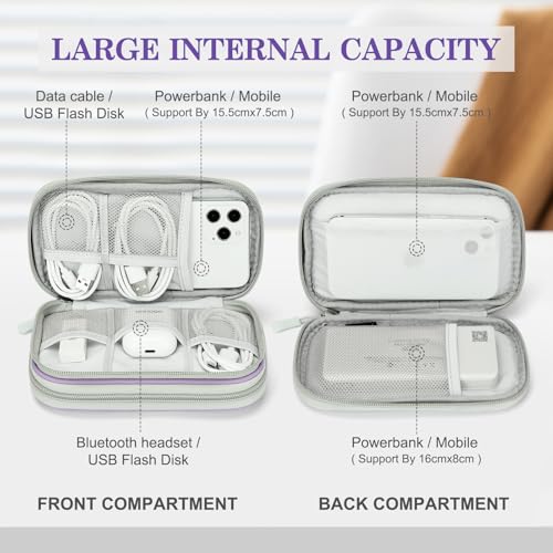 Electronic Organizer