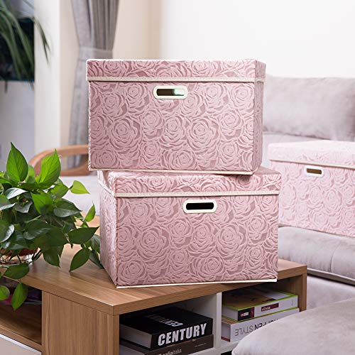 Large Foldable Storage Boxes with Lids [5 (5 Count)