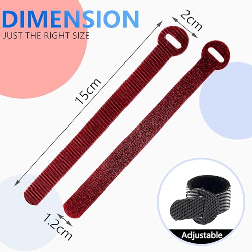 100 x Colourful Reusable Cable Ties (100 Count)