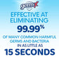 Original Hand Sanitizer (12 Fl Oz)
