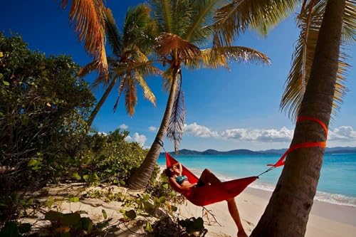 SingleNest Hammock