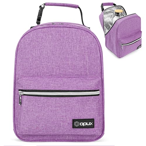 Insulated Lunch Box for Kids and Adults