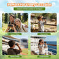 10x25 Compact Binoculars for Adults & Kids
