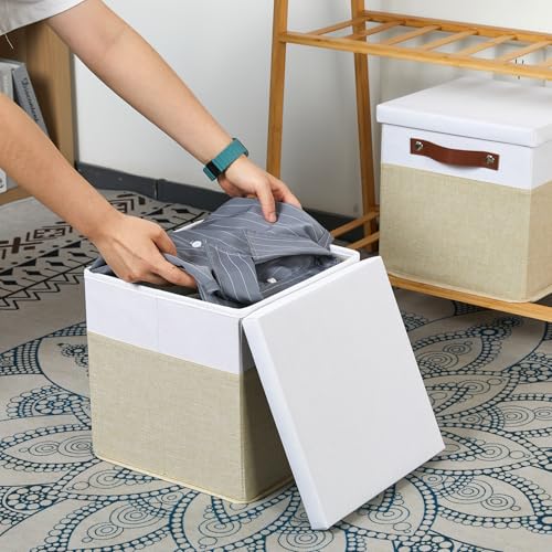 Foldable Fabric Storage Bins with Lids (2 Count)