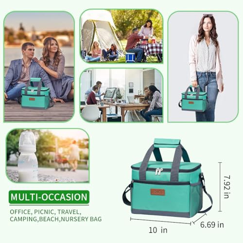 Insulated Lunch Bag