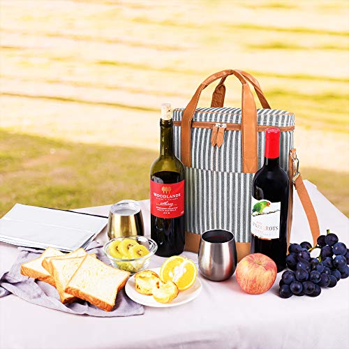 3 Bottle Wine Cooler Bag Carrier for Travel