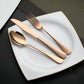 Travel Utensils with Case (5 Count)