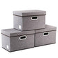 Foldable Storage Boxes with Lids [3 (3 Count)