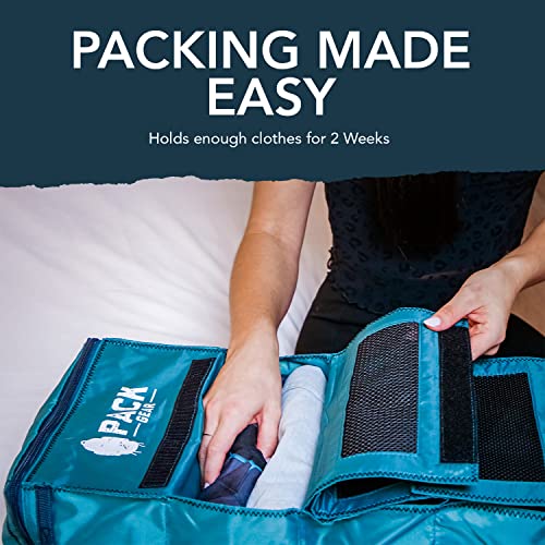 Hanging Luggage Organizer
