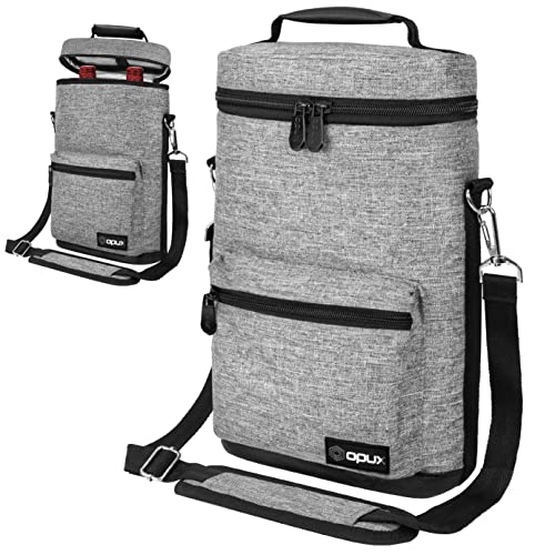 Insulated 2 Bottle Wine Bag Tote Leakproof Carrier Cooler Gift