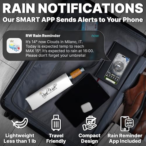 Compact Travel Umbrella for Rain