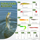 Fishing Rod Reel Combo (2 Count)
