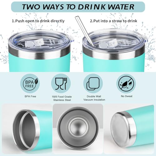 20oz Tumbler with Straw and Brush