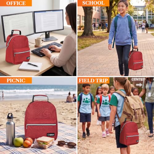 Insulated Lunch Box for Kids and Adults