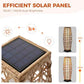 2 Piece Outdoor Floor Lamp Solar Lantern (2 Count)