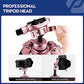 Mini Tripod 60" Lightweight Compact Travel Tripod with 360 Degree Ball Head Phone Mount Detachable Selfie Stick