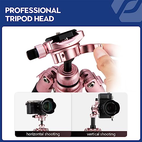 Mini Tripod 60" Lightweight Compact Travel Tripod with 360 Degree Ball Head Phone Mount Detachable Selfie Stick