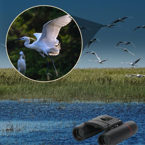Binoculars for Adults 12X25