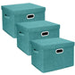 Large Storage Bins with Lids (3 Count)