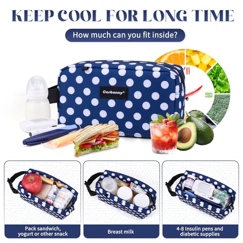 Mini Cooler Bag