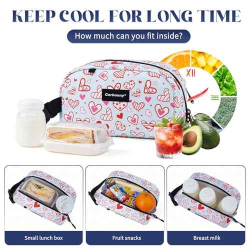 Small Cooler Bag