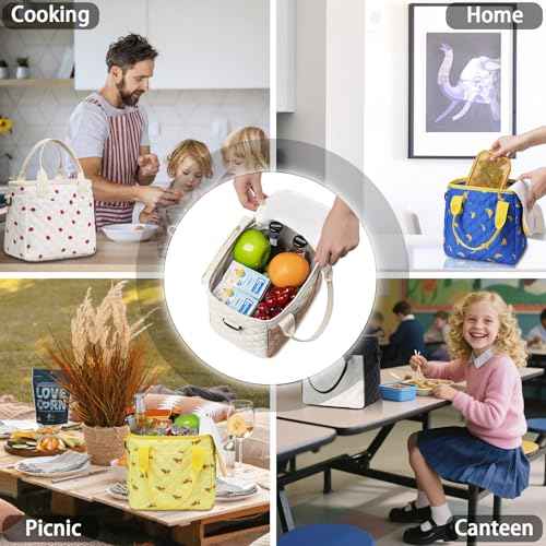 Lunch Box for Women Lunch Bags for Work for Teacher Nurse Mom Small Insulated LunchBag for Picnic Travel Shopping