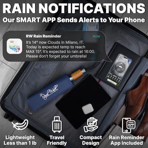 Compact Travel Umbrella for Rain