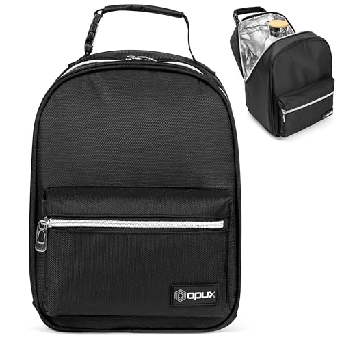 Insulated Lunch Box for Kids and Adults