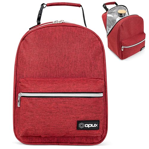 Insulated Lunch Box for Kids and Adults