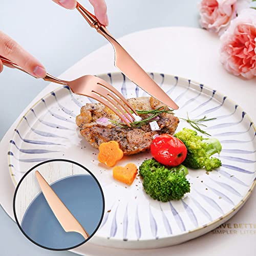 20 Piece Rose Gold Silverware Set for 4 (20 Count)