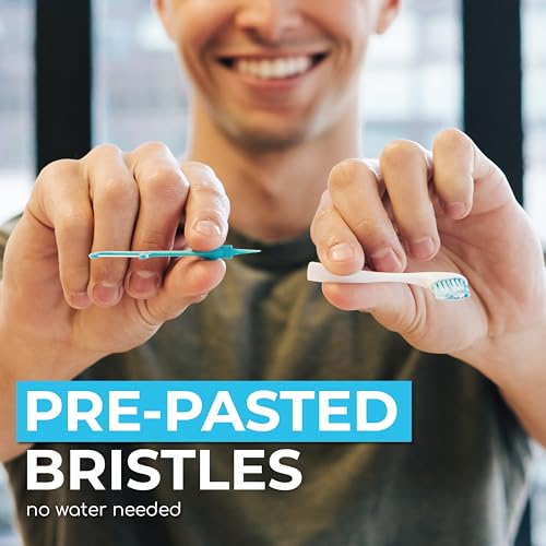 Disposable Travel Toothbrush (24 Count)